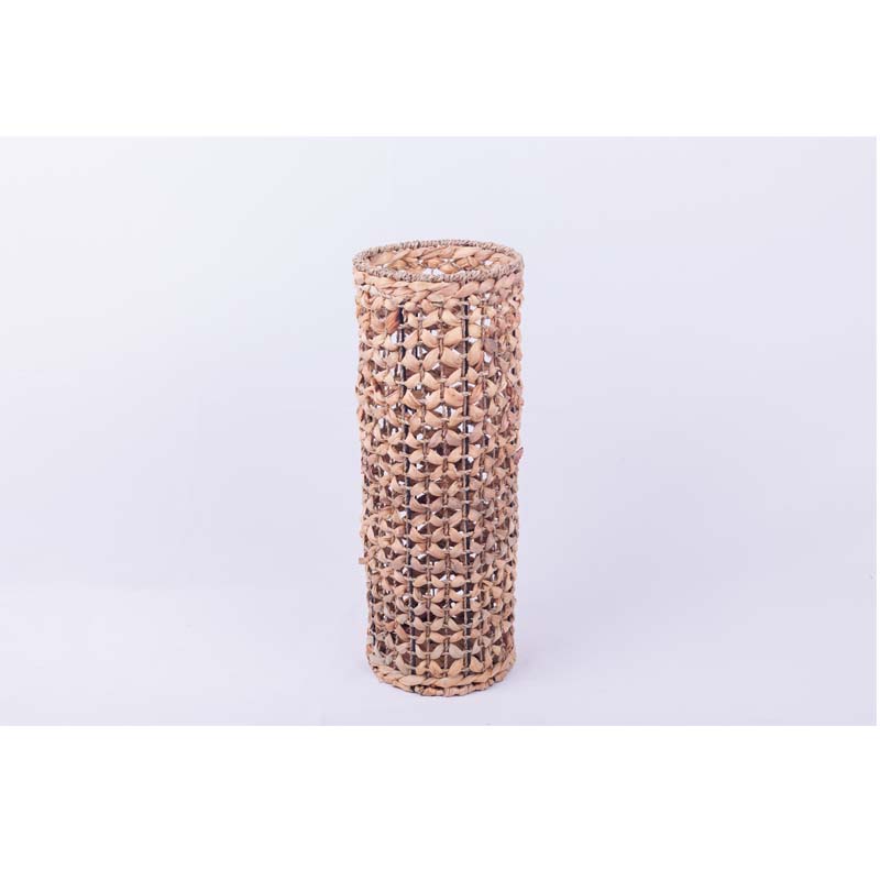 Vaso Di Giacinto D'acqua E Alghe